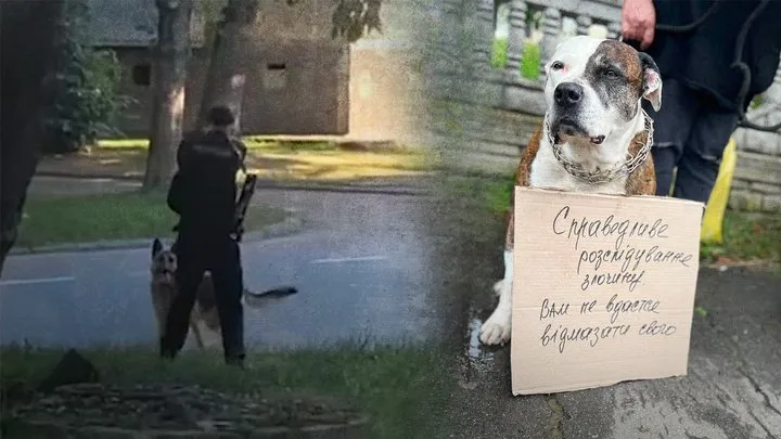 Собаки з людьми на вулиці, один тримає плакат