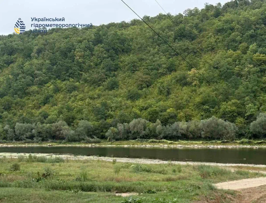 Річка біля густо залісненого схилу