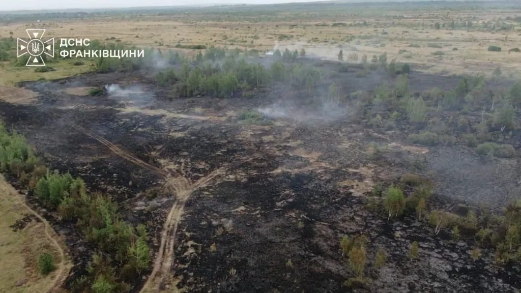 Згарище лісу й поля після масштабної пожежі