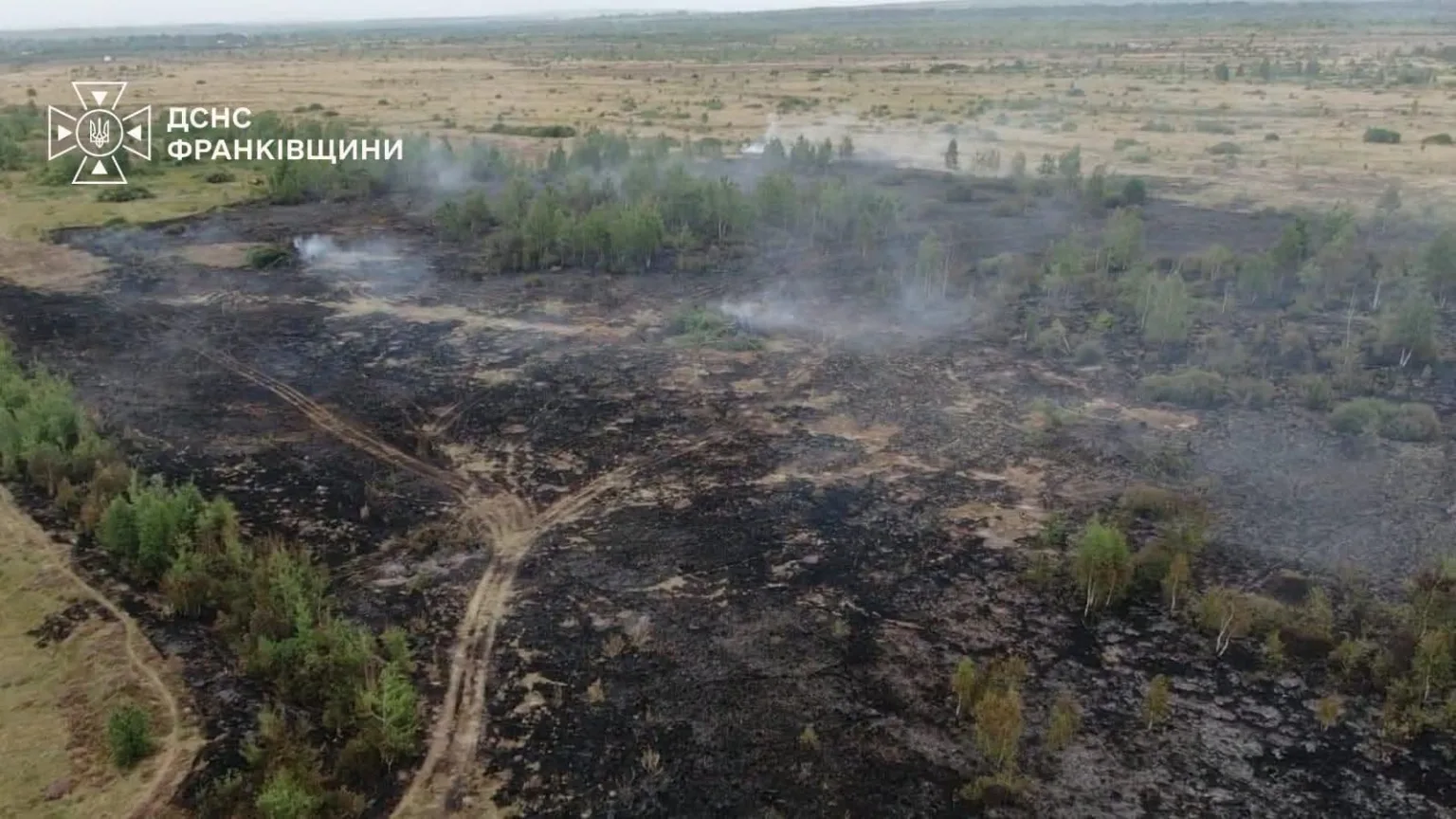 Згарище лісу й поля після масштабної пожежі