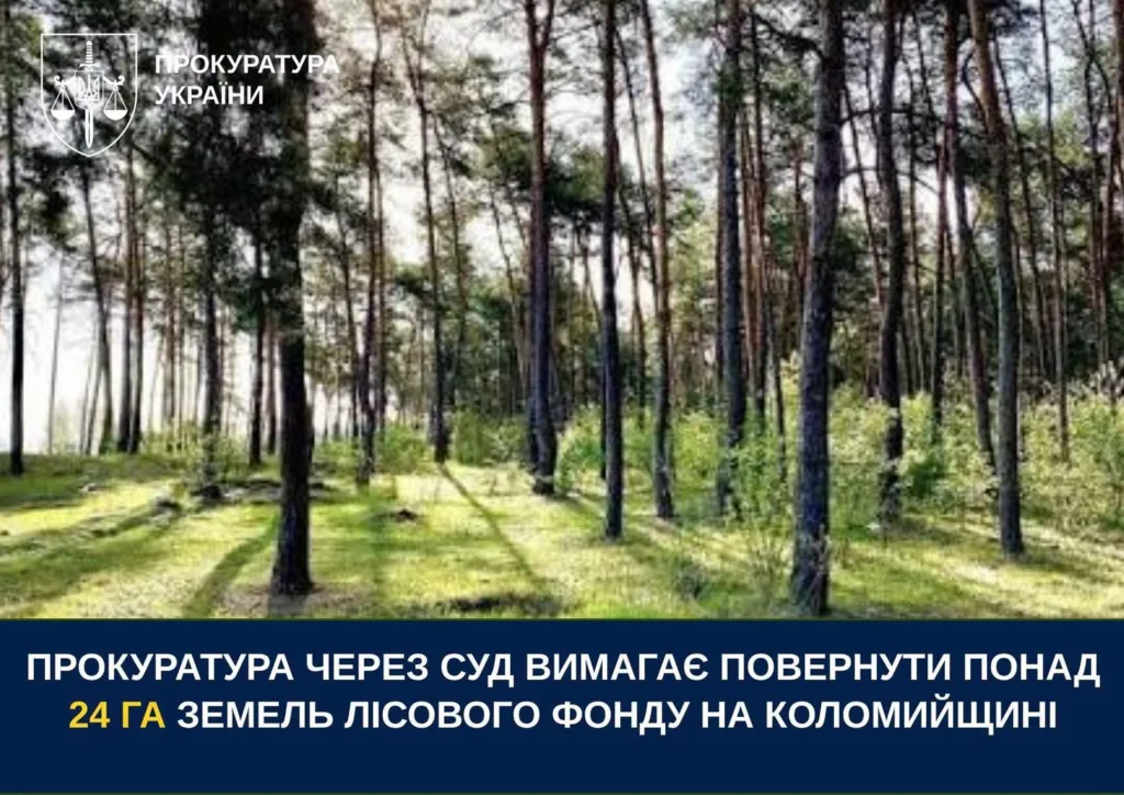 Прокуратура вимагає повернути 24 гектари лісу на Коломийщині