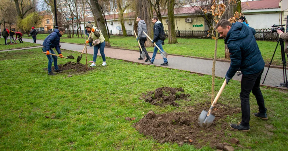 Люди висаджують дерева у міському парку
