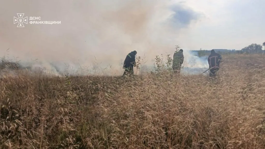 Рятувальники гасять пожежу сухої трави в полі