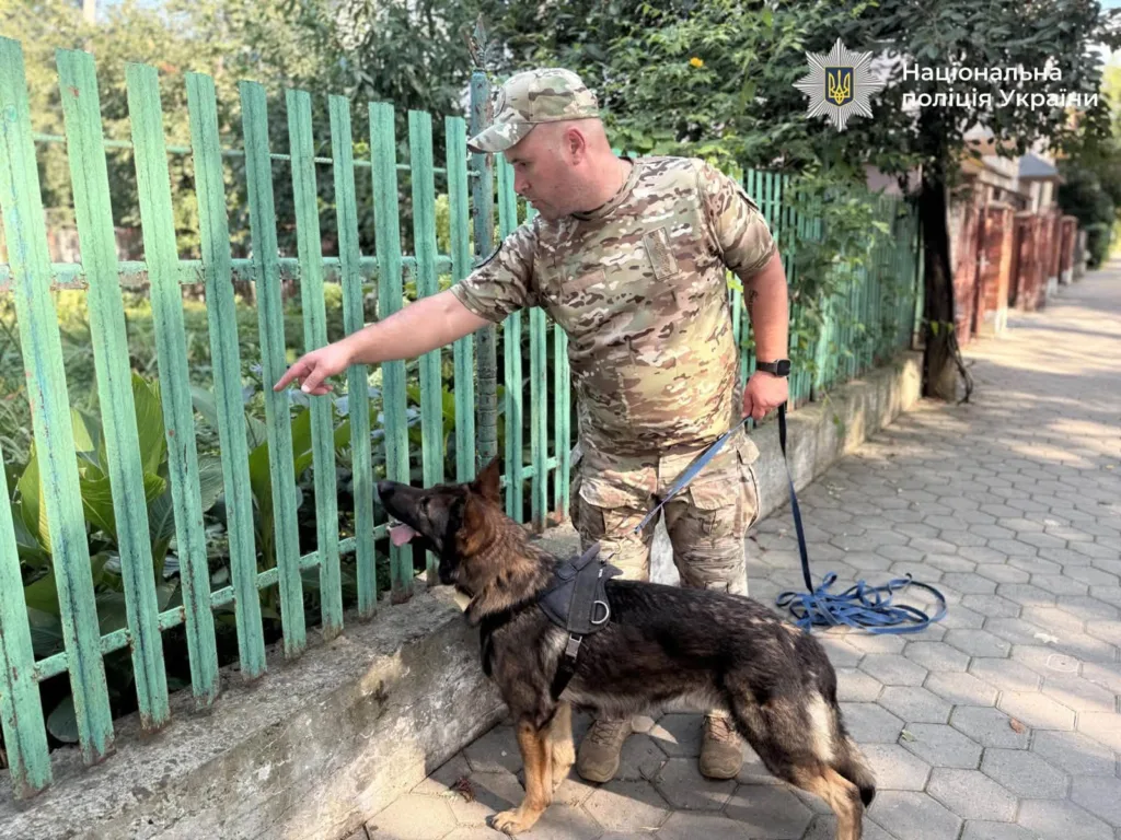 Кінолог поліції з собакою біля зеленого паркану