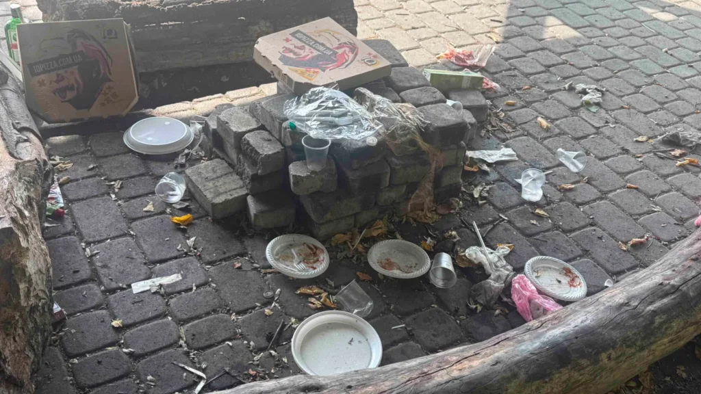 Сміття та коробки від піци біля дерева