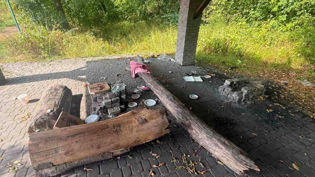 Сміття й колоди під мостом у зеленій зоні