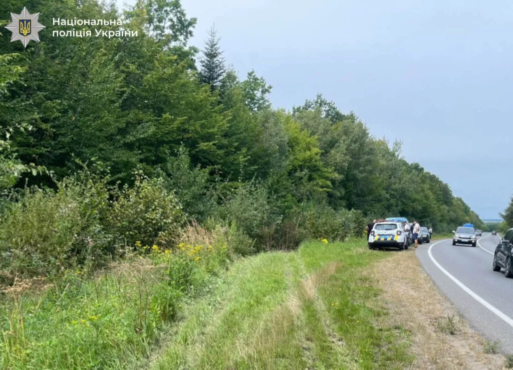 Поліцейський автомобіль на узбіччі лісової дороги