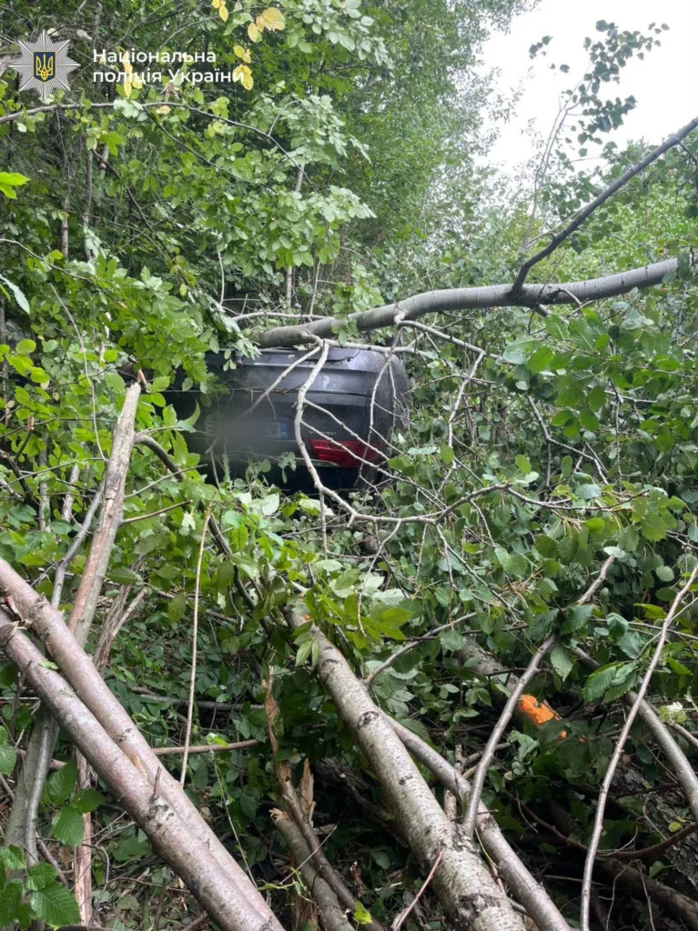 Автомобіль у лісі, завалений зламаними деревами