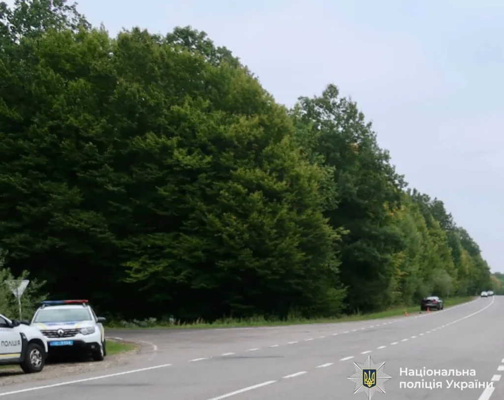 Поліцейські автомобілі на лісовій дорозі України