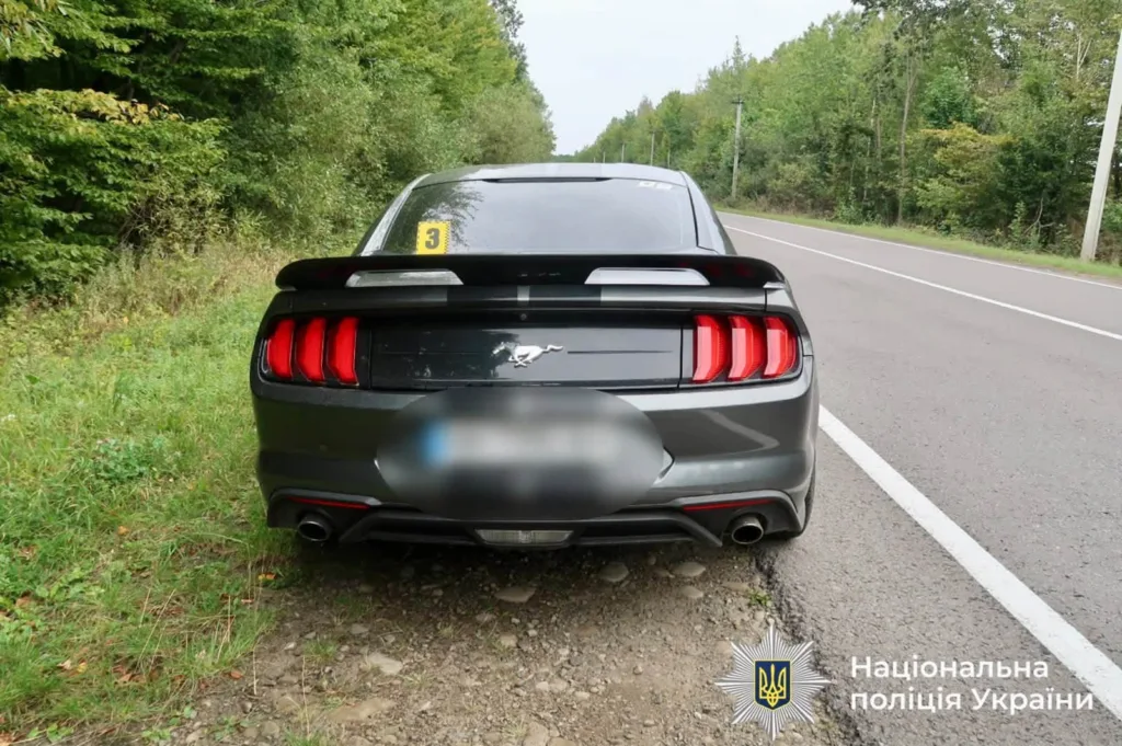 Сірий Ford Mustang на узбіччі лісової дороги