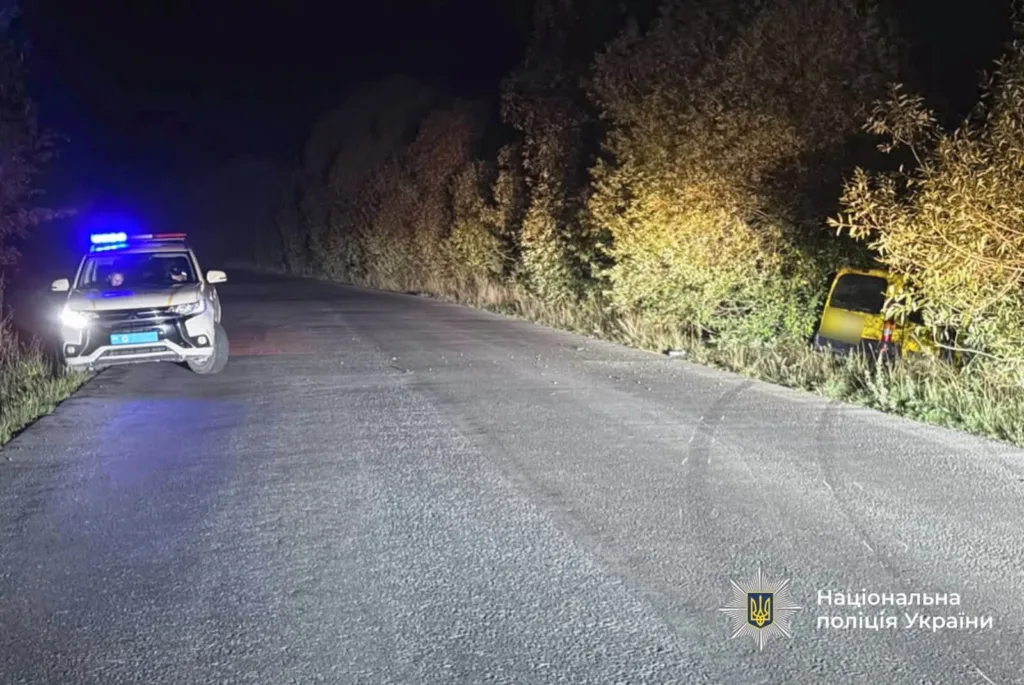 Поліцейське авто біля машини в кущах уночі
