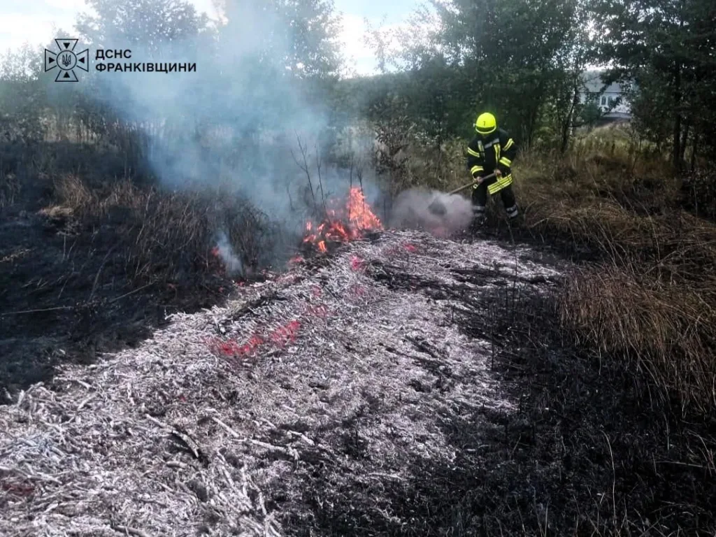 Рятувальник ДСНС гасить пожежу сухої трави