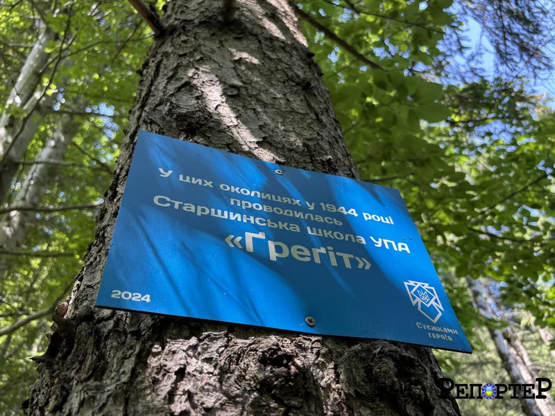 Синя меморіальна табличка на дереві в лісі