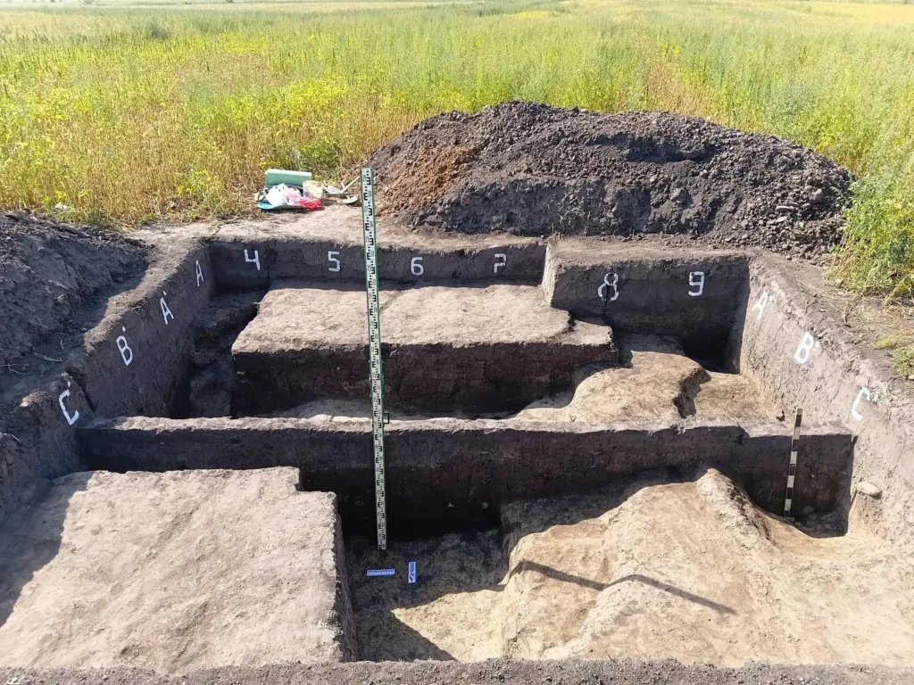 Археологічний розкоп із позначеними шарами ґрунту та мірною рейкою