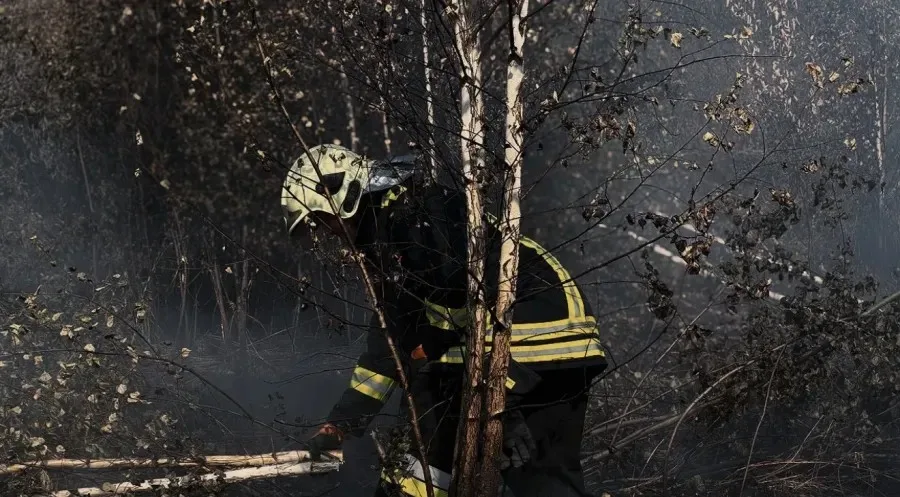 Пожежник у диму гасить лісову пожежу