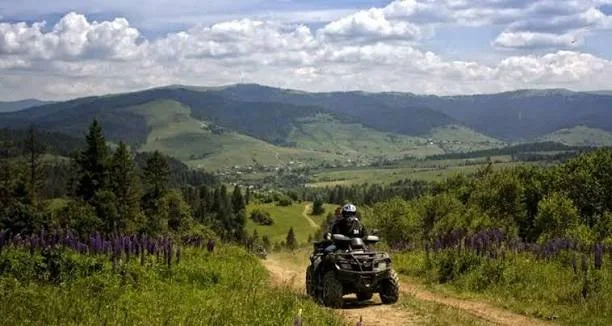 Квадроцикл їде гірською стежкою серед квітів