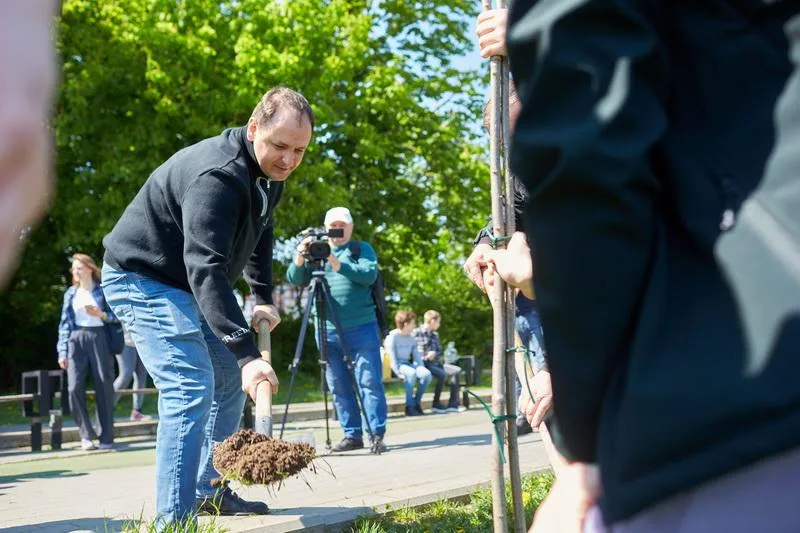 Чоловік саджає дерево в парку