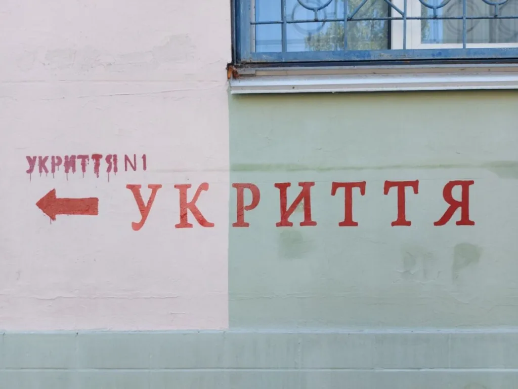 188156 1 large