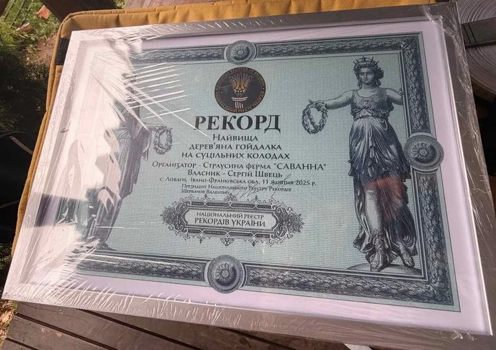 Рекорд