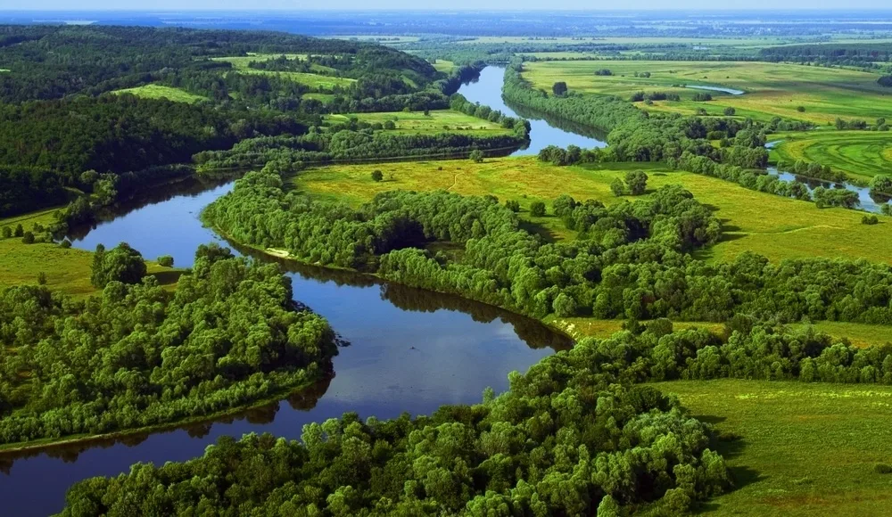 Прип’ятське Полісся ліс річка земля